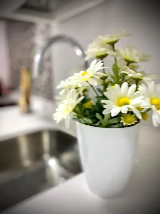 Mychoice Toledo Apartment Rota Spain
